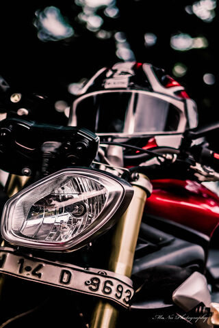 The Spirit of Triumph: Unleashing Adventure 🏍️✨