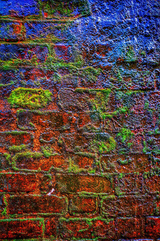 The Wall