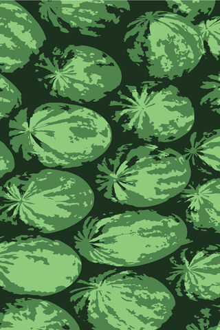 Refreshing Watermelon Wonderland 🍉✨