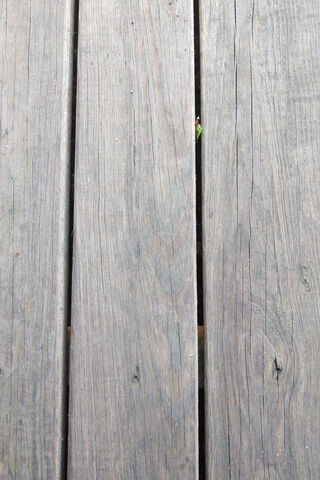 Wood Floor 3