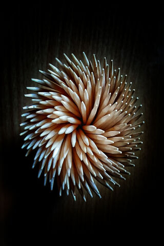 Nature's Artistry: The Wooden Blossom 🌼✨