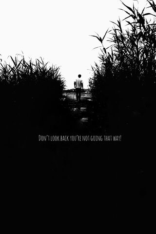 Embrace the Journey Ahead 🌅