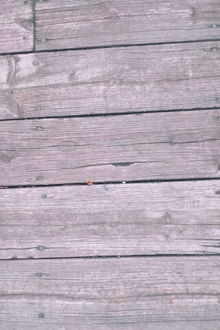 Rustic Charm: A Wooden Canvas 🌲✨