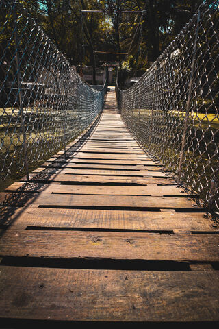 Journey Across the Wooden Bridge 🌲🌉