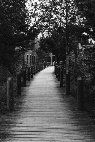 Whispers of the Wood Bridge 🌲🌉