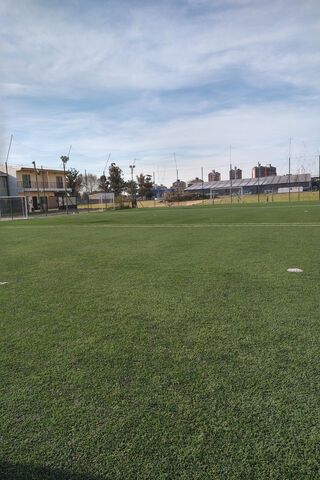 Sunny Serenity on the Field 🌞⚽️