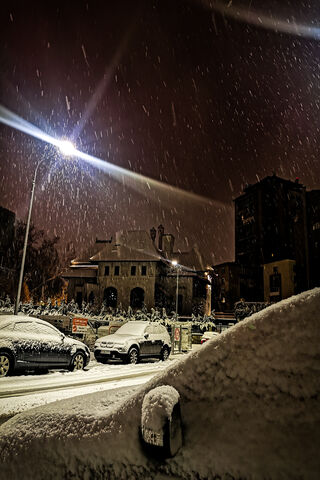 Winter's Embrace: The Magic of Zapada ❄️✨