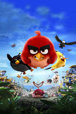 Feathered Fury: The Battle Begins! 🐦💥