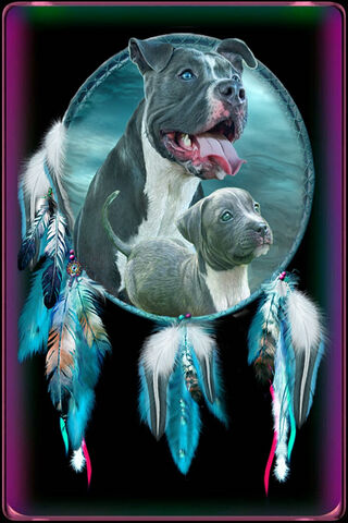 Boston Terrier Bliss: A Portrait of Love 🐾❤️