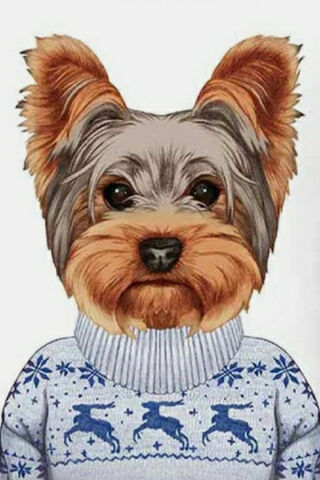 Brody Man: The Stylish Pup 🐾✨