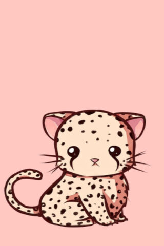 Baby Cheetah