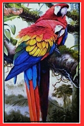 Tropical Harmony: A Colorful Encounter