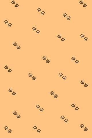 Paw-sitive Vibes: A Cat's Journey