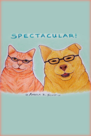 Spectacular Paws: A Furry Fashion Statement! 🐾😎