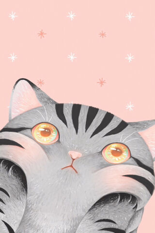 Whiskers of Wonder: A Cat's Gaze