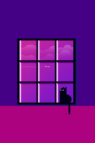 Whiskers at Twilight 🌌🐾