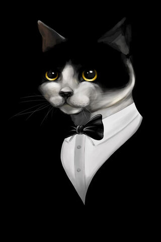 Dapper Feline: The Tuxedo Cat
