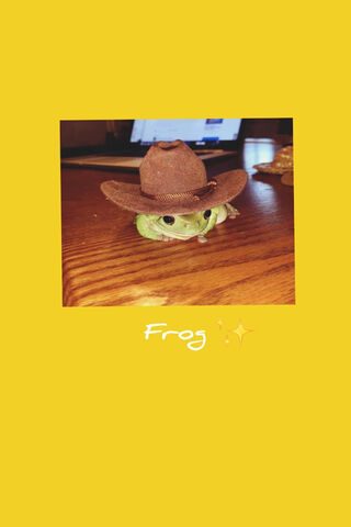 Yeehaw! The Cowboy Frog Rides Again! 🐸🤠