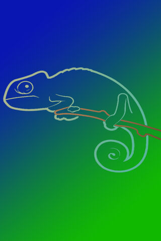 Chameleon Charm: Nature's Colorful Master of Disguise 🌈🦎