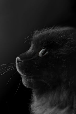 Whiskers in the Shadows 🐾✨