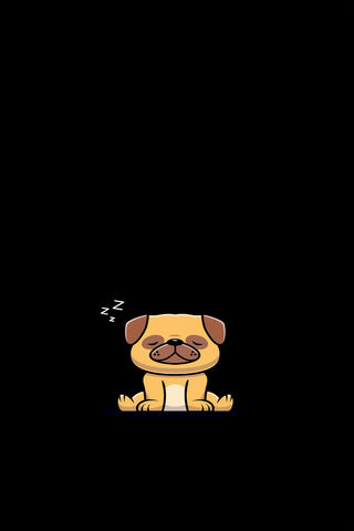 Paws and Relax: The Art of Dog Yoga 🐾🧘