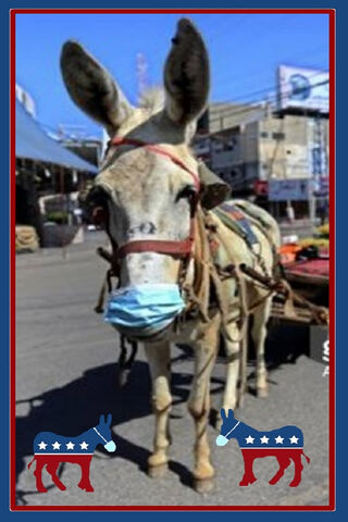 The Masked Donkey: A Symbol of Resilience 🐴💙