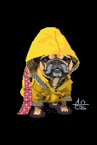 Pup in a Rainy Day Adventure! ☔🐶
