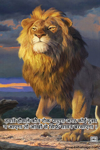 The Roar of Resilience 🦁