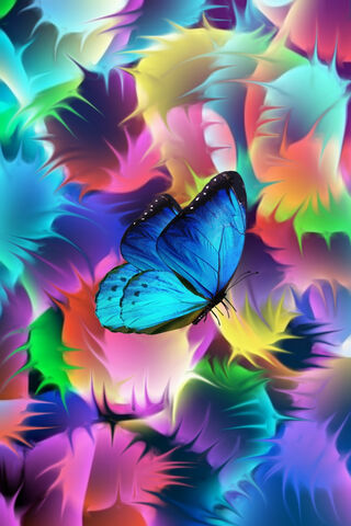 Eternal Flight of Colors 🦋🌈