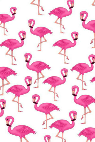 Flamingo Patterns