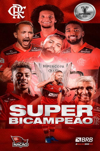 Flamengo Campeao