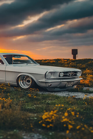 Classic Ford Mustang: A Timeless Beauty on Wheels 🚗✨