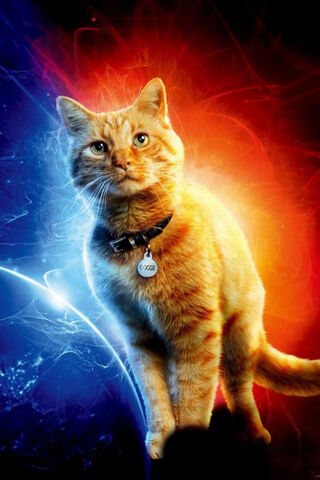 Goose the Cosmic Cat 🌌🐾