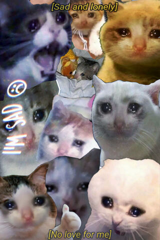 Whiskers of Woe: The Gato Triste Collection