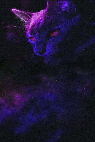 Cosmic Whiskers: The Galaxy Cat 🌌🐾
