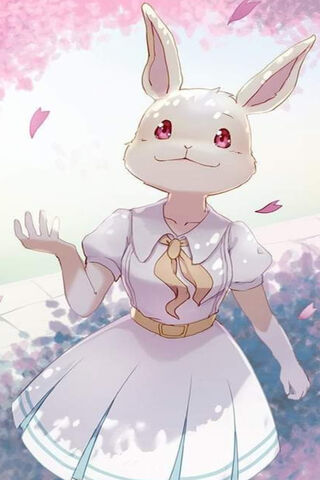 Haru: The Enchanted Bunny Princess 🌸🐰