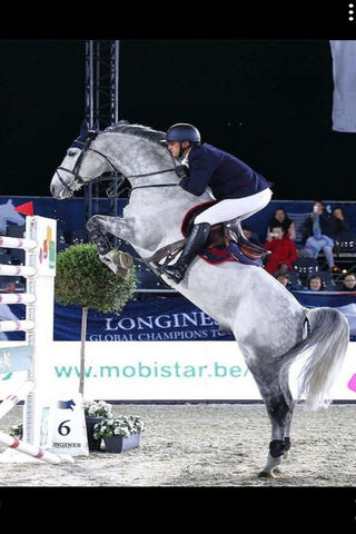 Soaring to New Heights: The Art of Horse Jumping 🐴✨