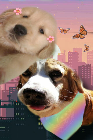 Golden Paws and City Dreams 🌆🐾