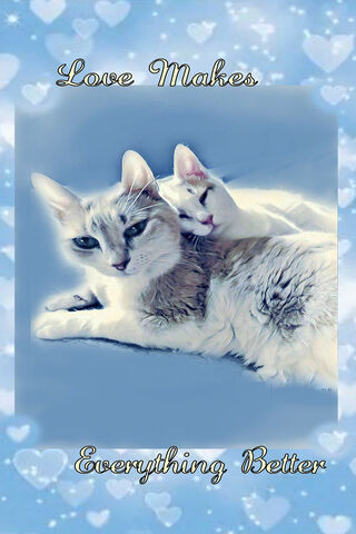 Love Makes.. Kitties