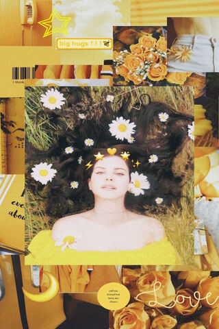 Sunshine Dreams: A Lana Del Rey Aesthetic 🌼✨