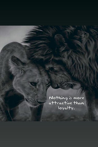 The Power of Loyalty 🦁❤️