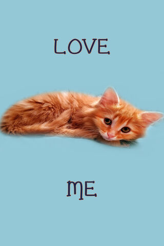 Love Me Kitten