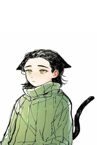 Loki Cat: Mischief in Feline Form 🐾✨