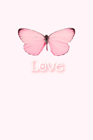 Whispers of Love: The Enchanted Butterfly