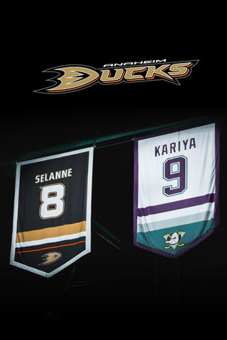 Legends of the Ice: Ducks Unite! 🦆🏒