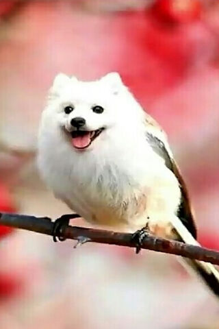 Whimsical Moments in Nature 🌸🐾