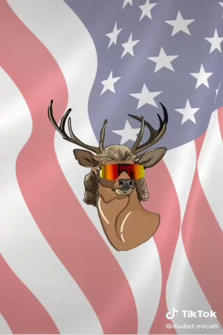 Mullet Deer: The Patriotic Trendsetter 🦌🇺🇸