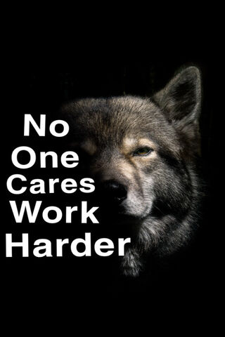 Embrace the Grind: A Wolf's Resolve