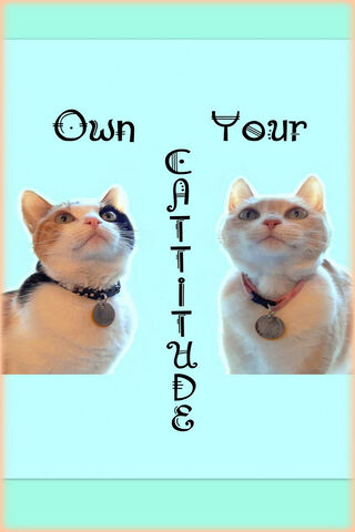 Embrace Your Feline Flair! 🐾✨