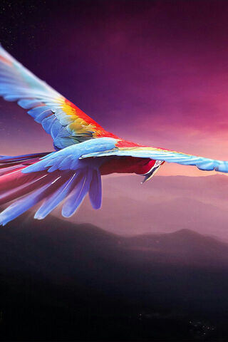 Soaring Colors: The Majestic Parrot 🦜✨